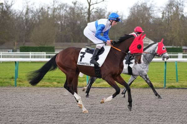 ROYAL ENCLOSURE