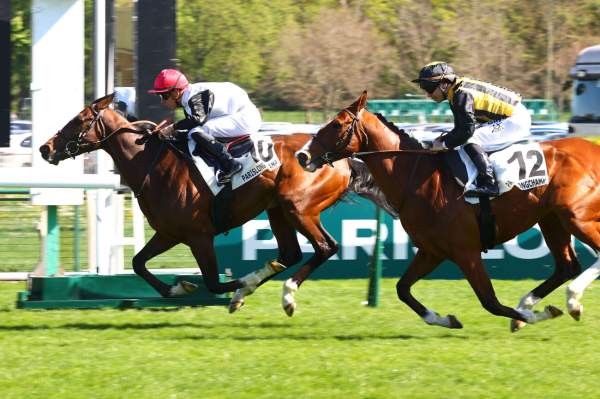 La photo de Lanzelot Gold