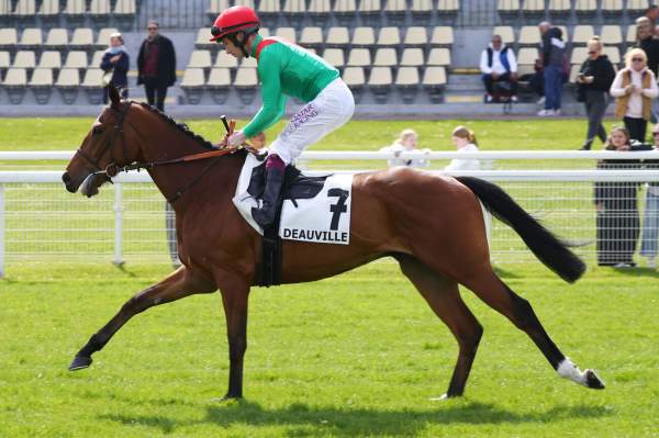 LE ROI RENE