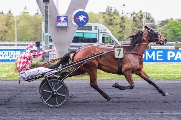 HANA D'OCCAGNES
