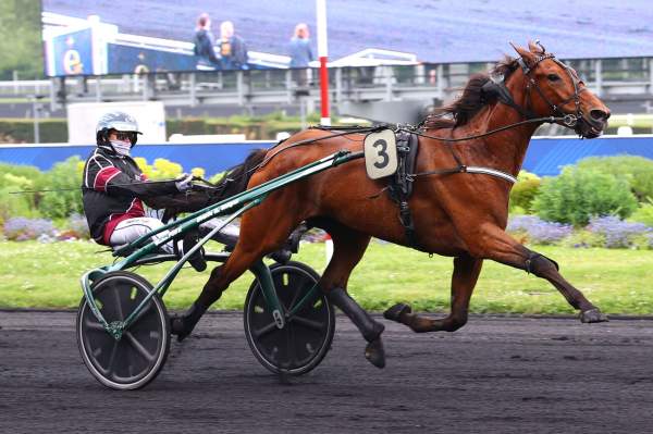 CARL HALBAK