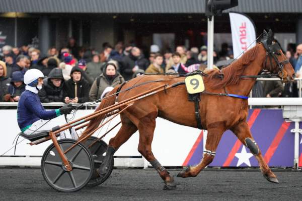 KENZO DU MONT