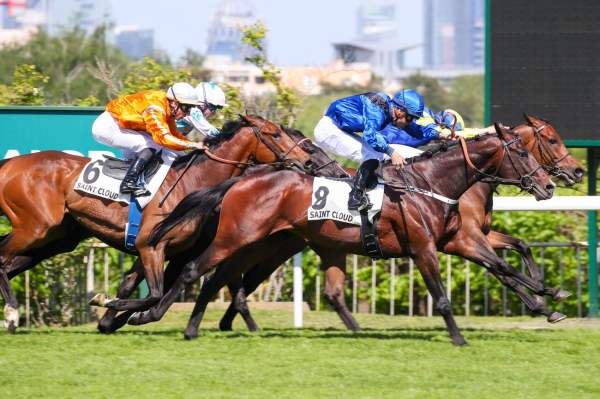 La photo de Guiness Star