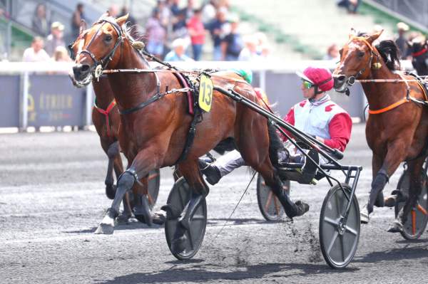 Koctel Du Dain Arrivée Quinté+ Pmu Prix Albert Demarcq à PARIS-VINCENNES