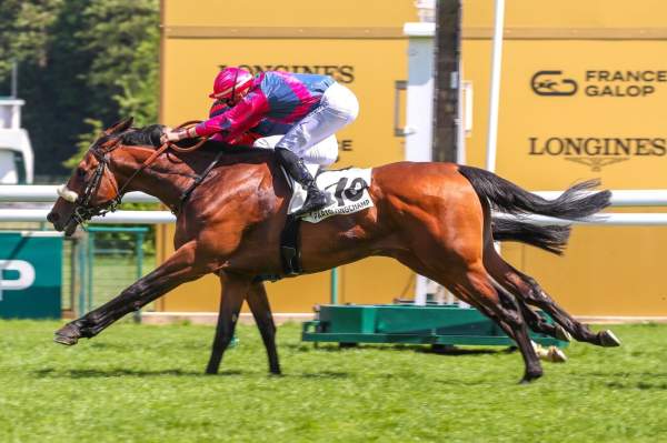 Ziggy Star arrivée Quinté+ pmu Prix de la Ville de Paris à Longchamp