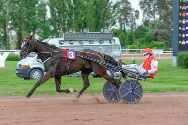 ILTON DE BELLANDE