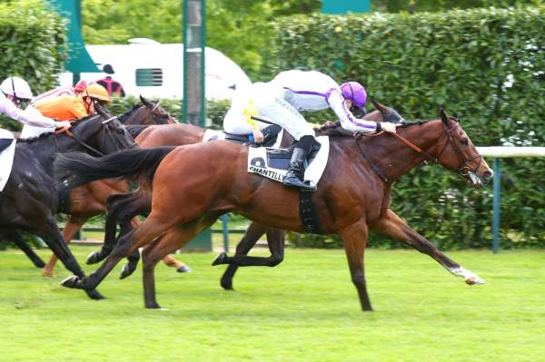 Game Run Arrivée Quinté+ Pmu Prix De Montagny à CHANTILLY