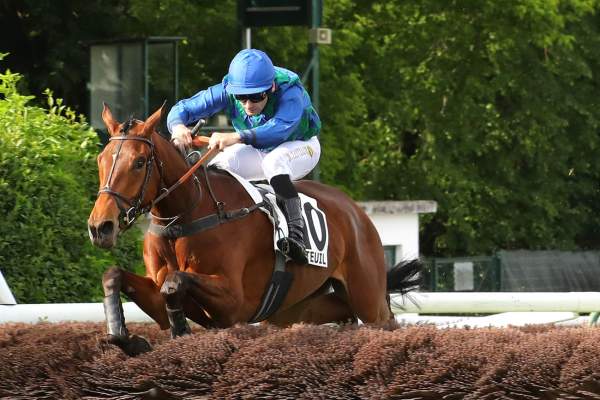 PANTHERE VERTE