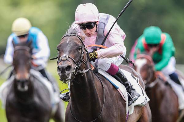 Mgheera Arrivée PMU Prix de Saint-Georges à ParisLongchamp