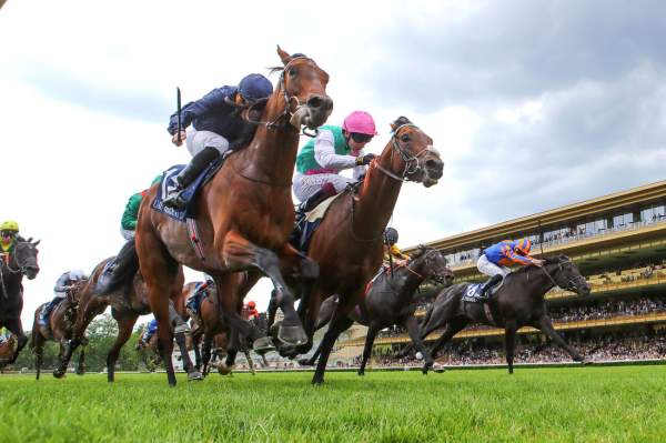 Henri Matisse Arrivée PMU Emirates Poule d'Essai des Poulains à ParisLongchamp