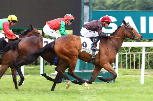 Riyabovka Arrivée Quinté+ Pmu Prix Pistol Packer à SAINT CLOUD