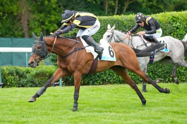 Nectaris Arrivée Quinté+ Pmu Prix «le Parisien» (prix Le Guales De Mezaubran) à AUTEUIL