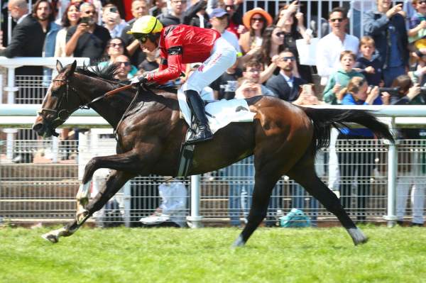 Leopard Du Berlais arrivée pmu Prix Aguado (Gr.III) à Auteuil