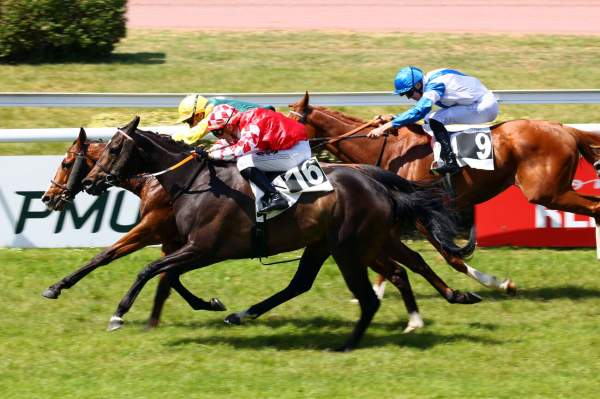 Nepalais Arrivée Quinté+ Pmu Handicap D'Angers Loire Métropole à ANGERS