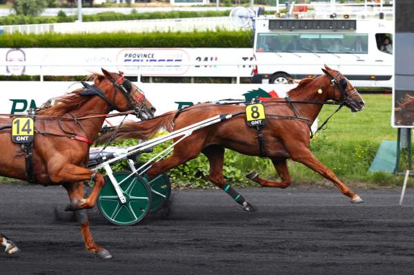 Jango Vici Arrivée Quinté+ Pmu 5eme Etape Du Grand National Du Trot au CROISE-LAROCHE