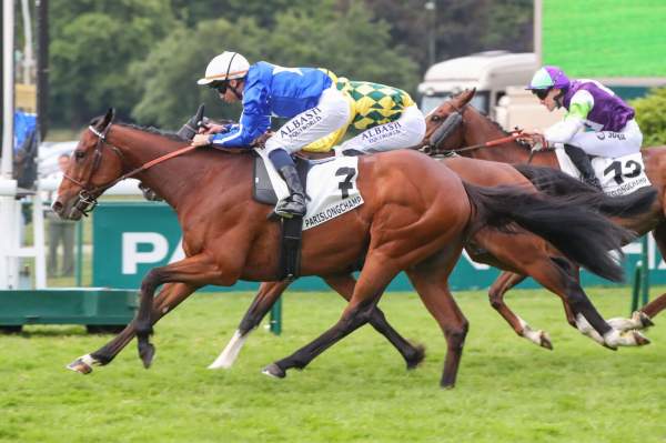 Centenario arrivée Quinté+ Prix de l'Orangerie à ParisLongchamp
