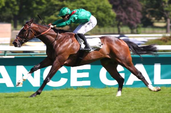 Candelari arrivée pmu Prix Vicomtesse Vigier (Gr.1) à ParisLongchamp
