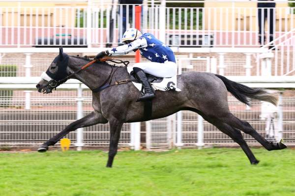 La photo de Vol D'argent