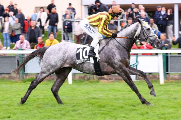Cuncerto Arrivée Quinté+ Pmu Prix Bfm Alsace à STRASBOURG