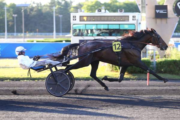Unico Broline arrivée Quinté+ pmu Prix Pythia à Vincennes