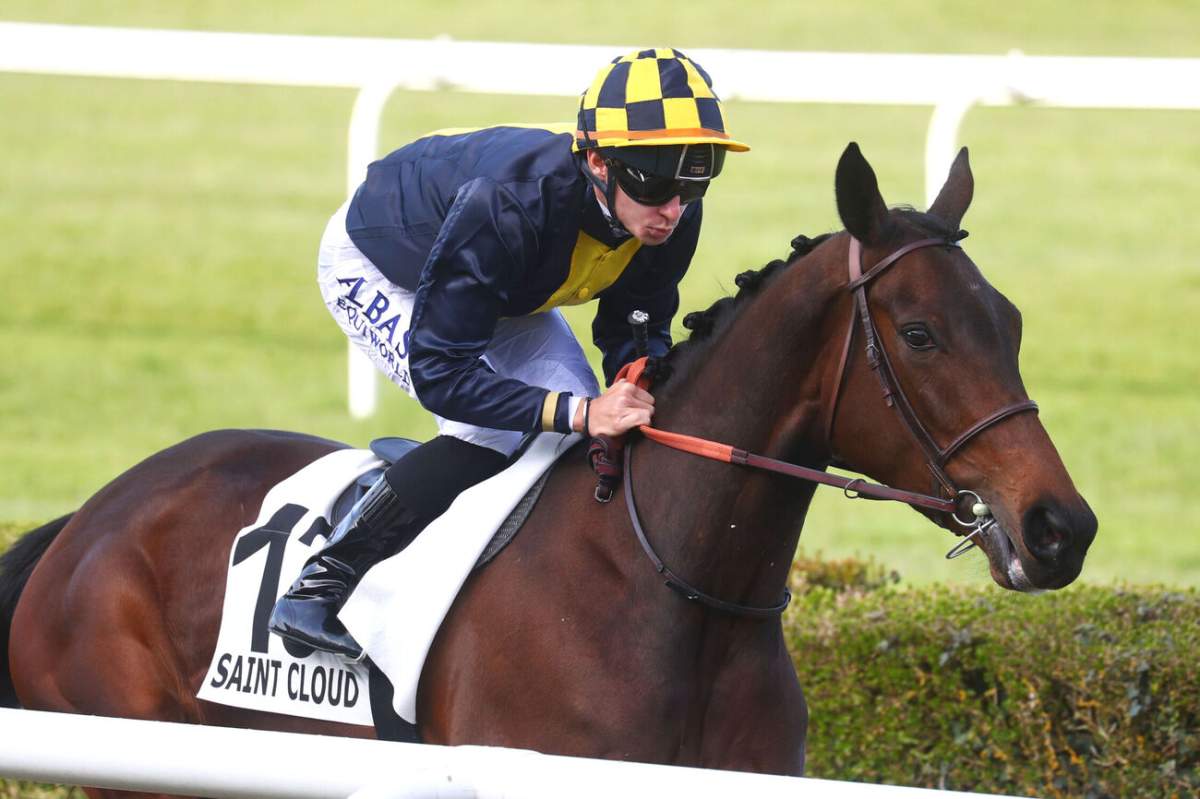 Detrough THROUGH THE FLAMES - La fiche CANALTURF du cheval, performances pmu ...
