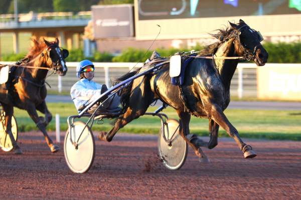 La photo de Indigo Du Perche