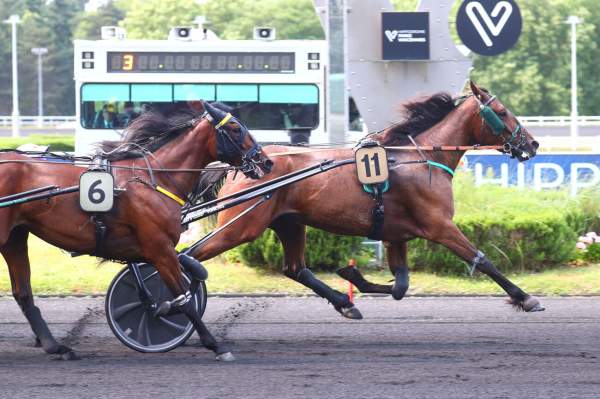 Maya Du Surf arrivée pmu Prix Diana à Vincennes