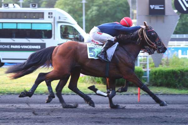 Milor De La Vallee arrivée pmu Prix Cygnus à Vincennes