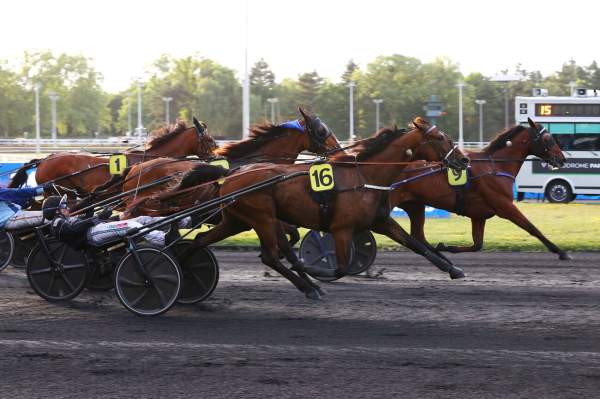 Hamigo Arrivée Quinté+ Pmu Prix Adalberta à PARIS-VINCENNES
