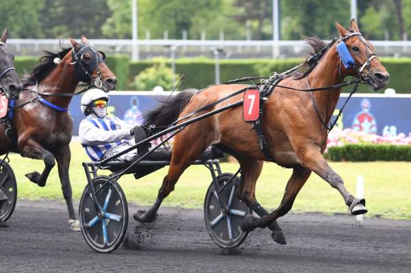 Inexess Bleu Arrivée PMU Prix Chambon P à Vincennes