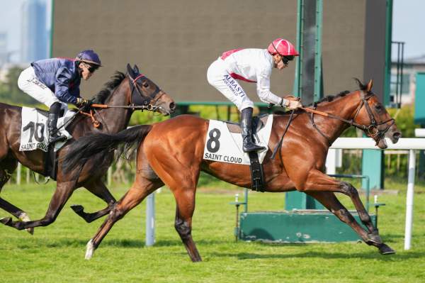 Stolen Kiss arrivée Quinté+ pmu Prix de Fouilleuse à Saint-Cloud