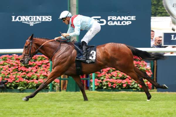 Bullace Arrivée Quinté+ Pmu Grand Handicap De Lamorlaye Longines à CHANTILLY