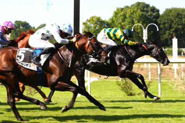 Chiricco Arrivée Quinté+ Pmu Prix De La Garden Party à NANTES