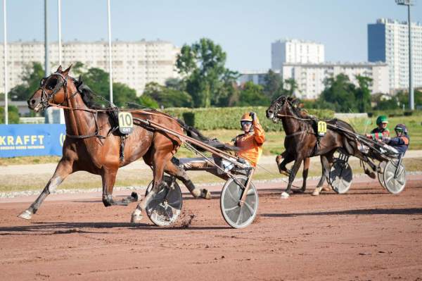 Indy De Jyr Arrivée Quinté+ Pmu Grand National Du Trot à TOULOUSE