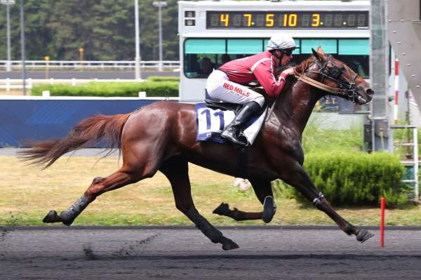 Meteore De Simm arrivée pmu Prix d'Essai (Gr.I) Etrier 3 ans Finale à Vincennes