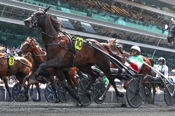 Killiam Fromentro Arrivée Quinté+ Pmu Prix J Xii-J Twelve (prix Jean-Yves Lecuyer) à PARIS-VINCENNES