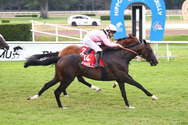 Treatwood Arrivée Quinté+ Pmu Association Sos Lena - Prix Federation Des Courses Du Centre-Est à LYON PARILLY