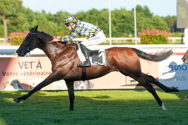 Kovel Arrivée Quinté+ Pmu Prix Christie'S Real Estate - Maxwell-Baynes à LA TESTE DE BUCH