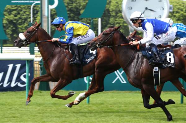 Dreamliner arrivée pmu Tatersalls prix de Saint-patrick (L) à Chantilly