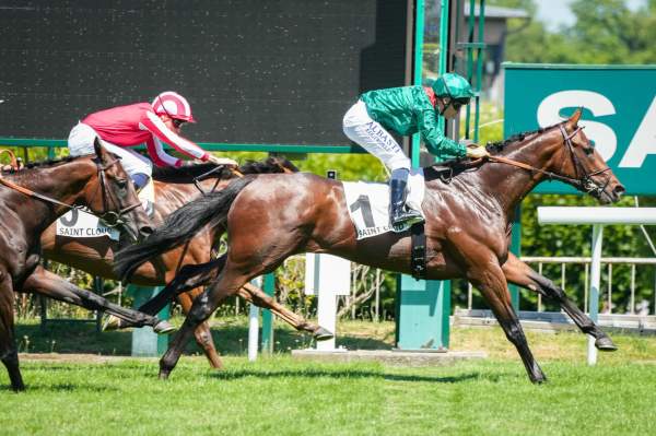 Daryz Arrivée PMU Prix Eugene Adam à Saint-Cloud