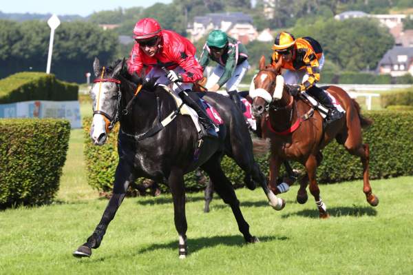 Le Petit Cheval Arrivée Quinté+ Pmu Prix De La Ville De Tourgeville à CLAIREFONTAINE