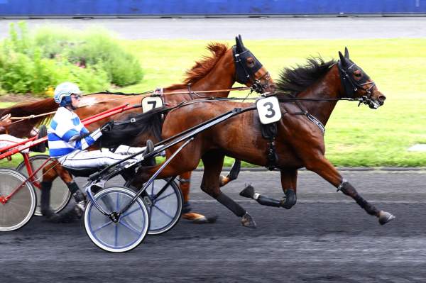 La photo de King Heuvelland