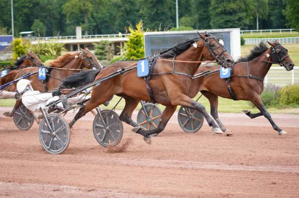 Every Time Winner Arrivée PMU Pick5 Prix du Louvre à Enghien