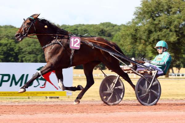Hasard D'erable arrivée Quinté+ pmu Prix Xavier Hunault à Pontchâteau