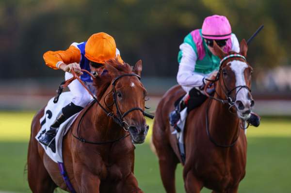 Qilin Queen Arrivée PMU Prix de Malleret à ParisLongchamp