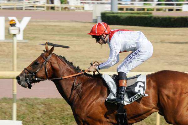 Stolen Kiss Arrivée Quinté+ Pmu Prix Hubert De Catheu à VICHY