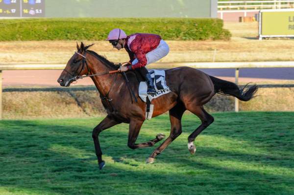 Dschingis Ranger arrivée Quinté+ pmu Prix Vichy Communauté hippodrome de Vichy-Bellerive