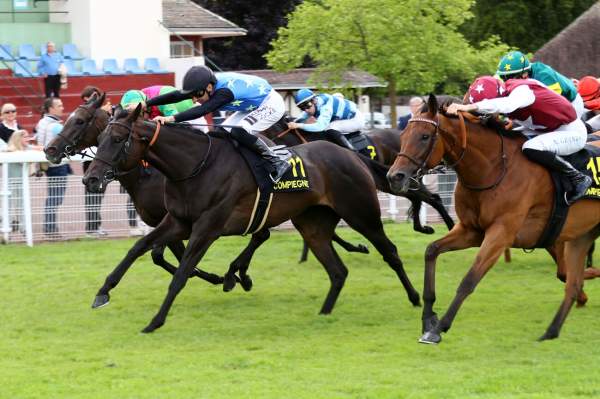 Miss Oxford Arrivée Quinté+ Pmu Prix Du Chateau De Pierrefonds à COMPIEGNE
