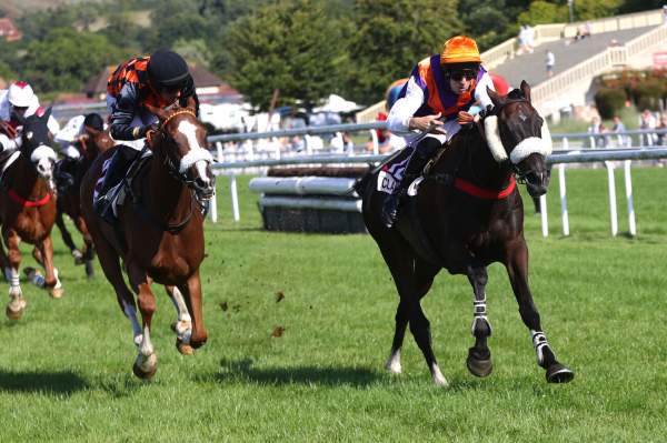 Showly Arrivée Quinté+ Pmu Prix Leopold D'Orsetti à CLAIREFONTAINE