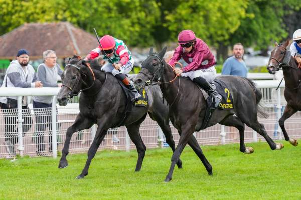 Apogeo Arrivée Quinté+ Pmu Prix Des Bords De L'Oise à COMPIEGNE